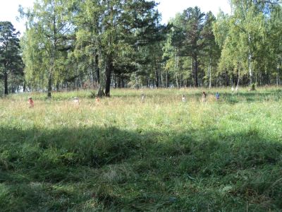 Лот: 6257449. Фото: 1. земельный участок. Земельные участки