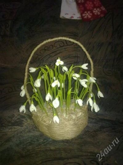 Лот: 2581750. Фото: 1. Корзина подснежников. Лепка из полимерной глины