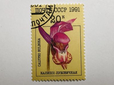 Лот: 23316423. Фото: 1. Цветы. Орхидеи. Калипсо луковичная... Марки