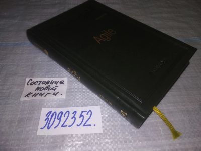 Лот: 23992047. Фото: 1. oz меш. (3092352) Agile. Оценка... Экономика