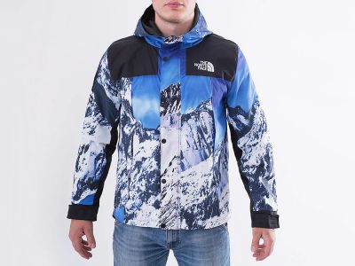 Лот: 12653250. Фото: 1. Ветровка The North Face x Supreme... Верхняя одежда