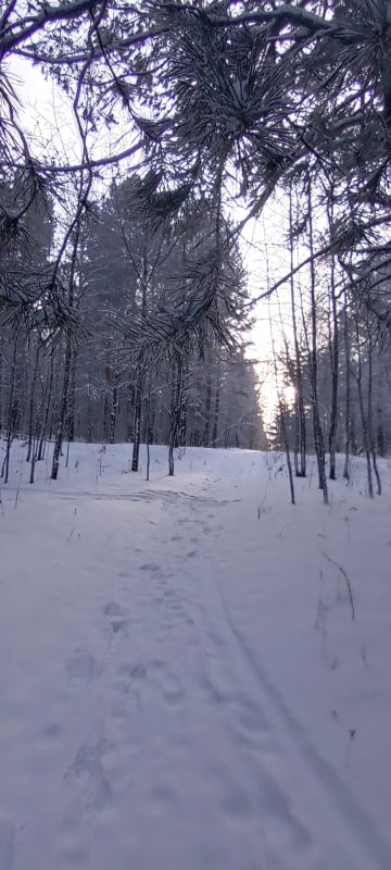 Лот: 19662614. Фото: 1. Куплю земельный участок снт Загорье... Земельные участки