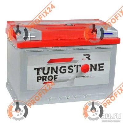 Лот: 13360595. Фото: 1. Аккумулятор TUNGSTONE PROF 55... Аккумуляторы
