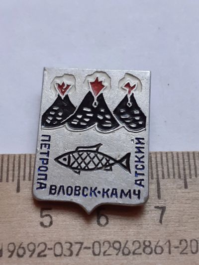 Лот: 18579078. Фото: 1. ( №12776) значки города России... Сувенирные