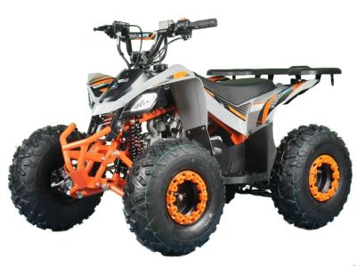 Лот: 25802178. Фото: 1. Квадроцикл REGULMOTO S12. Снегоходы, квадроциклы