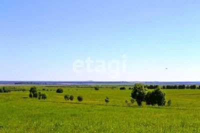 Лот: 25290582. Фото: 1. участок , деревня Погорелка деревня... Земельные участки