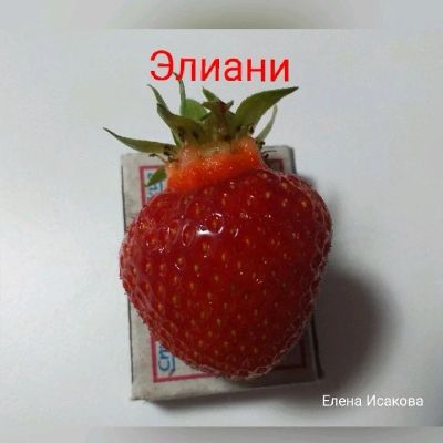 Лот: 13993945. Фото: 1. Клубника (садовая земляника... Ягоды