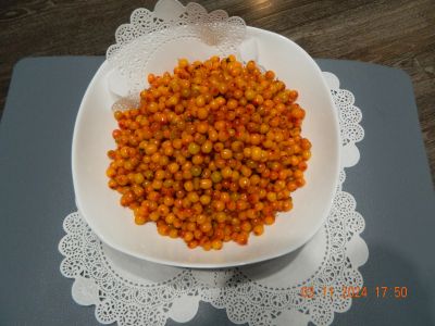 Лот: 24556733. Фото: 1. Облепиха лесная, дикая, максимум... Ягоды, орехи