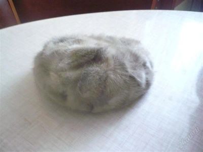Лот: 1327416. Фото: 1. Берет норковый из кусочков с рубля... Головные уборы
