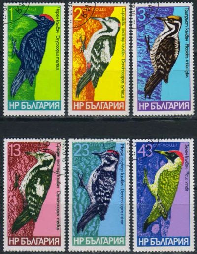 Лот: 18227028. Фото: 1. 1978. Болгария. Птицы - Дятлы... Марки