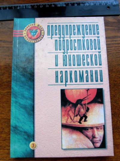 Лот: 4296617. Фото: 1. Предупреждение подростковой и... Социология