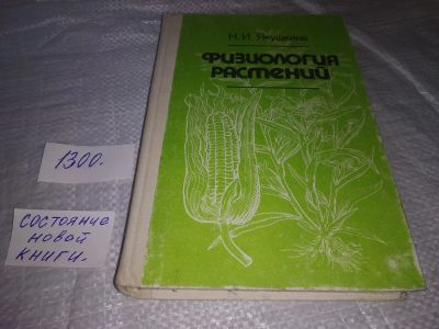 Лот: 19679386. Фото: 1. Якушкина Н.И. Физиология растений... Биологические науки