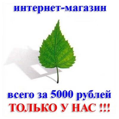 Лот: 5685295. Фото: 1. Интернет-магазин за 5000 руб... IT-услуги (сайты, 1C, IT аутсорсинг)