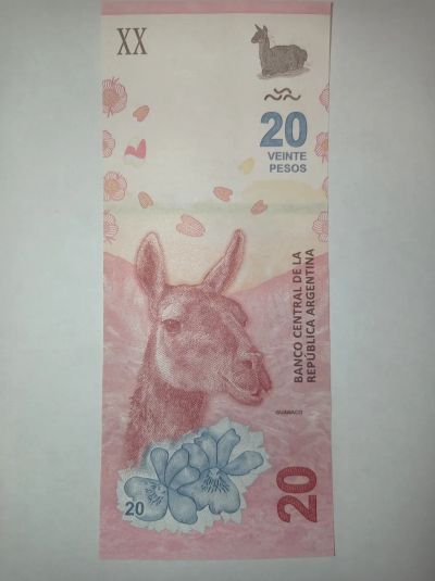 Лот: 23336448. Фото: 1. Аргентина 20 песо 2017 года. UNC. Америка