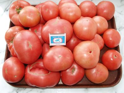 Лот: 23531561. Фото: 1. Семена Томат Помидоры Сирия Maramand. Овощи