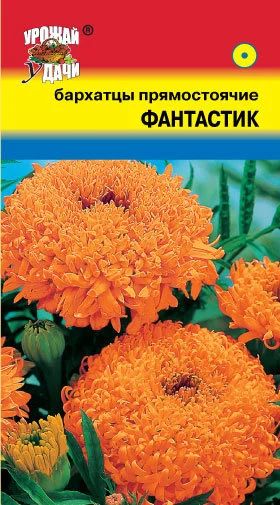 Лот: 10772474. Фото: 1. Семена бархатцев среднерослых... Садовые цветы
