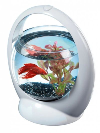 Лот: 12987679. Фото: 1. Аквариум Tetra Betta Ring 1,8... Аквариумы, террариумы
