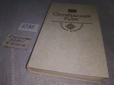 Лот: 18715615. Фото: 1. Октябрьская буря. Сост. В. Старцева... История