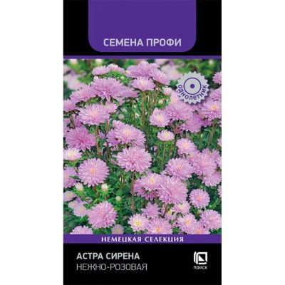 Лот: 25087143. Фото: 1. Семена Цветы, Астра, Сирена Нежно-розовая... Другое (семена, рассада, садовые растения)