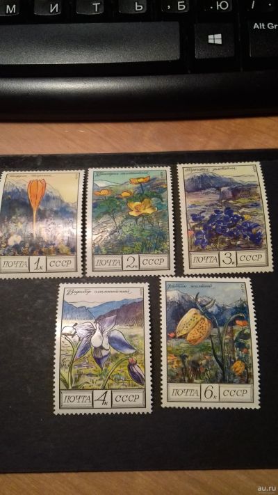 Лот: 18568315. Фото: 1. серия 1976, ноябрь. Цветы гор... Марки