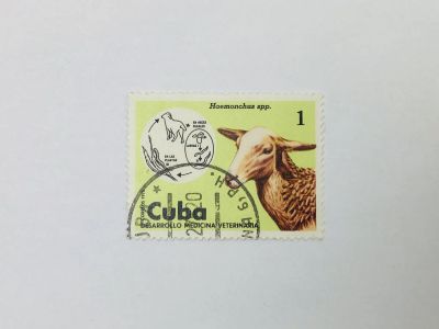Лот: 23314424. Фото: 1. Ветеринария. Гемонхус контортус... Марки