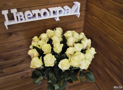 Лот: 7364579. Фото: 1. Цветы. Белая роза № 584 Доставка... Свежие цветы