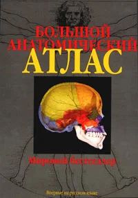 Лот: 3986194. Фото: 1. Большой анатомический атлас Й... Другое (медицина и здоровье)