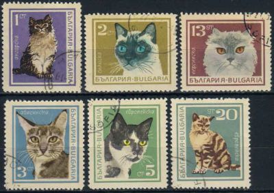 Лот: 20832886. Фото: 1. 1967. Болгария. Кошки. Полная... Марки