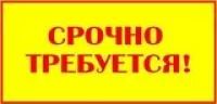 Лот: 8130173. Фото: 1. Требуются услуги спецтехники. Другое (строительство и ремонт)