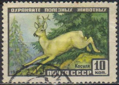 Лот: 25527908. Фото: 1. 1961, январь. Фауна СССР. н.с... Марки