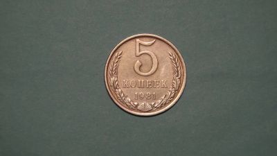 Лот: 24619719. Фото: 1. СССР 5 копеек 1981. Россия и СССР 1917-1991 года