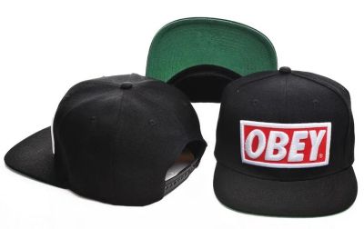 Лот: 3008568. Фото: 1. кепка Obey. Другое (одежда, обувь, галантерея)