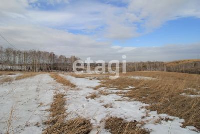 Лот: 25297864. Фото: 1. участок , ДНТ Южный Склон ДНТ... Земельные участки