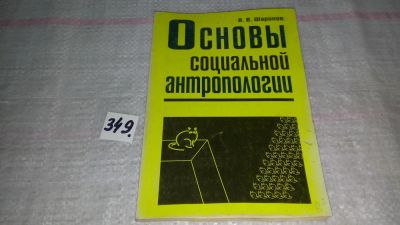 Лот: 8961516. Фото: 1. Владимир Шаронов Основы социальной... Социология