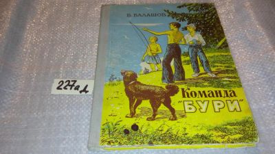 Лот: 7648627. Фото: 1. Команда "Бури", Виктор Балашов... Художественная для детей