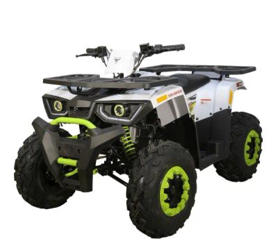 Лот: 25659235. Фото: 1. Квадроцикл AVANTIS H200 NEW (Баланс... Снегоходы, квадроциклы