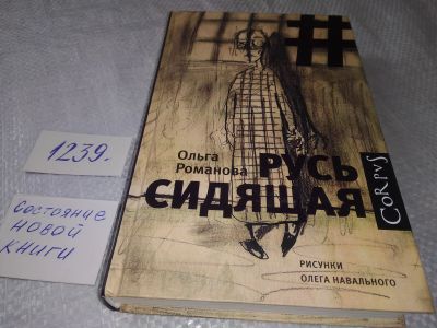 Лот: 18886403. Фото: 1. Романова Ольга - Русь сидящая... Публицистика, документальная проза