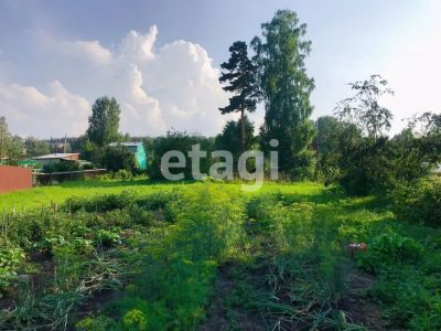 Лот: 25288866. Фото: 1. участок , СНТ Ветеран-9 СНТ Ветеран-9... Земельные участки