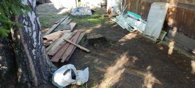 Лот: 22637211. Фото: 1. Удаление пней. Декоративные кустарники и деревья