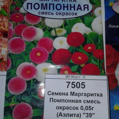 Лот: 9118265. Фото: 1. Семена / цветы / Маргаритка... Садовые цветы