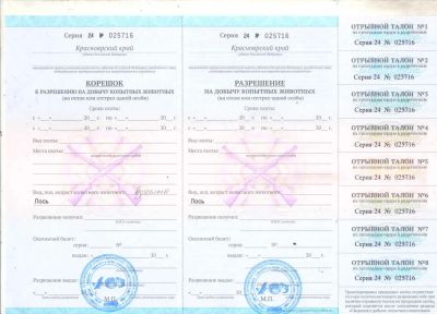 Лот: 23548631. Фото: 1. Услуга по организации любительской... Другое (охота)