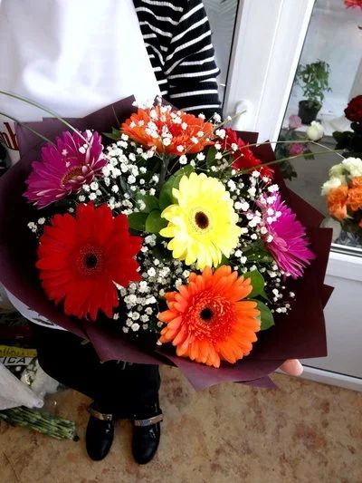 Лот: 9912600. Фото: 1. Букет из 7 Гербер 850 рублей... Другое (растения и животные)