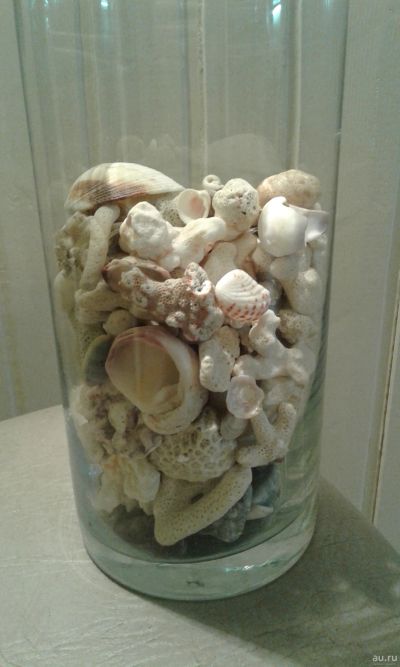 Лот: 13066254. Фото: 1. Ракушки, кораллы. Грунты, украшения, наполнения