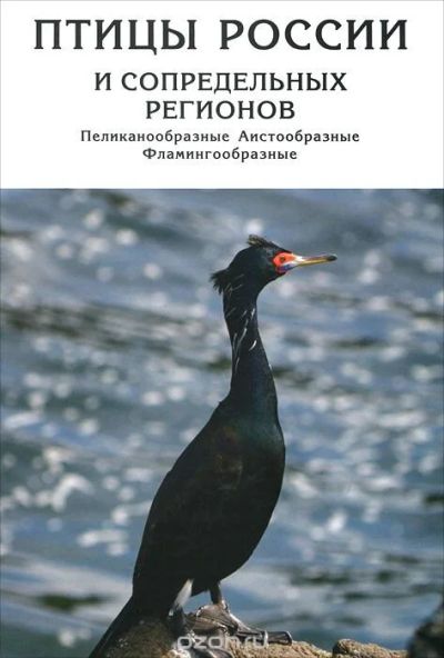 Лот: 10881061. Фото: 1. Птицы России и сопредельных регионов... Биологические науки