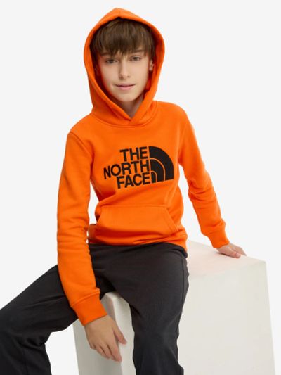 Лот: 24592171. Фото: 1. Худи для мальчиков The North Face... Другое (спортивная одежда)