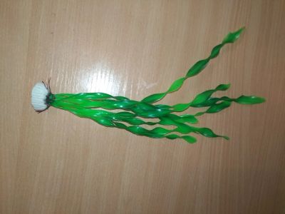 Лот: 12835697. Фото: 1. Водоросли для аквариума. Водные растения