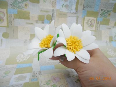 Лот: 4289169. Фото: 1. Ромашки. Заколки, вееры, расчёски