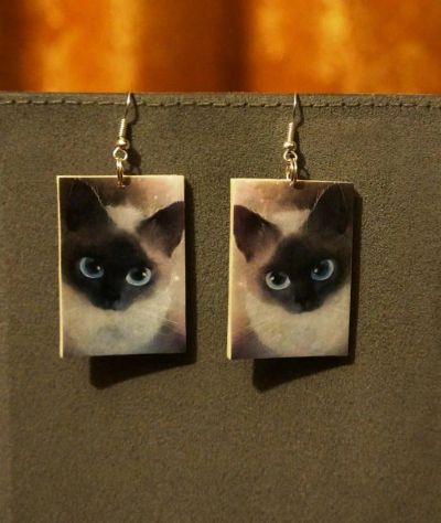 Лот: 5000741. Фото: 1. Серьги " Кошачий взгляд ". Лепка из полимерной глины
