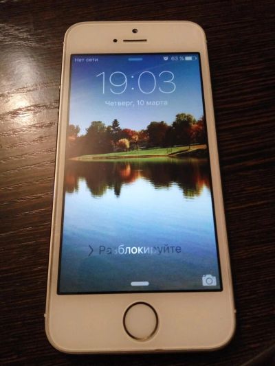 Лот: 7076558. Фото: 1. Iphone 5s 16Gb Gold \ Новые аксессуары... Смартфоны