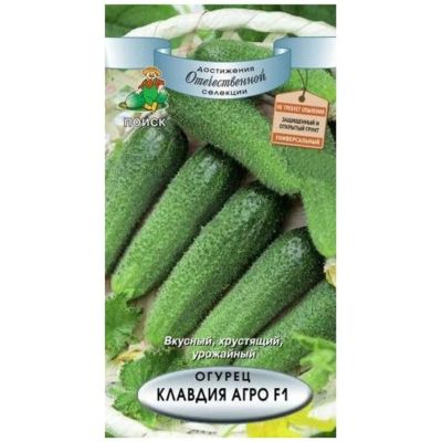 Лот: 24612885. Фото: 1. Семена Огурец, Клавдия Агро F1... Другое (семена, рассада, садовые растения)